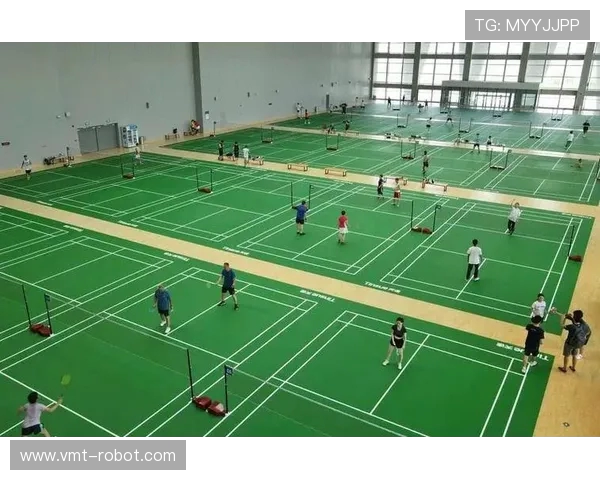 西安羽毛球队个人能力分析与提升策略探讨