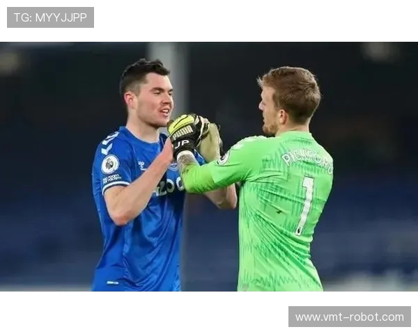 西布朗与埃弗顿精彩对决全场录像回放分析与精彩瞬间集锦