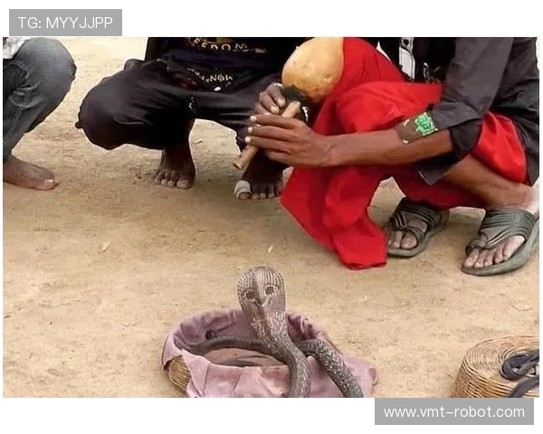 阿尔城与坎布尔激战正酣谁能在这场较量中笑到最后