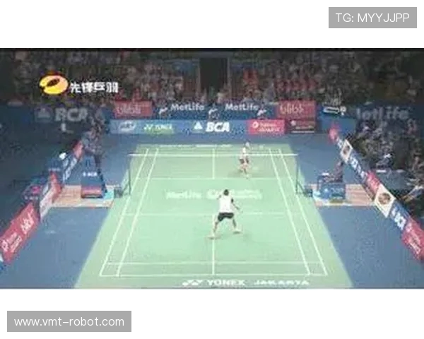 北京羽毛球队战术解析与对手战术的深度比较与启示