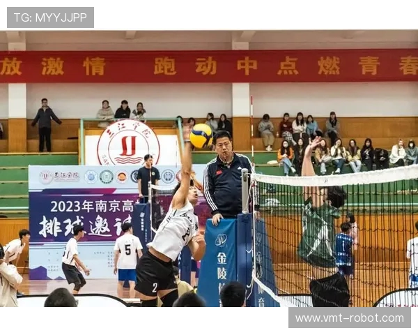 排球配合排名：南京排球队创新高